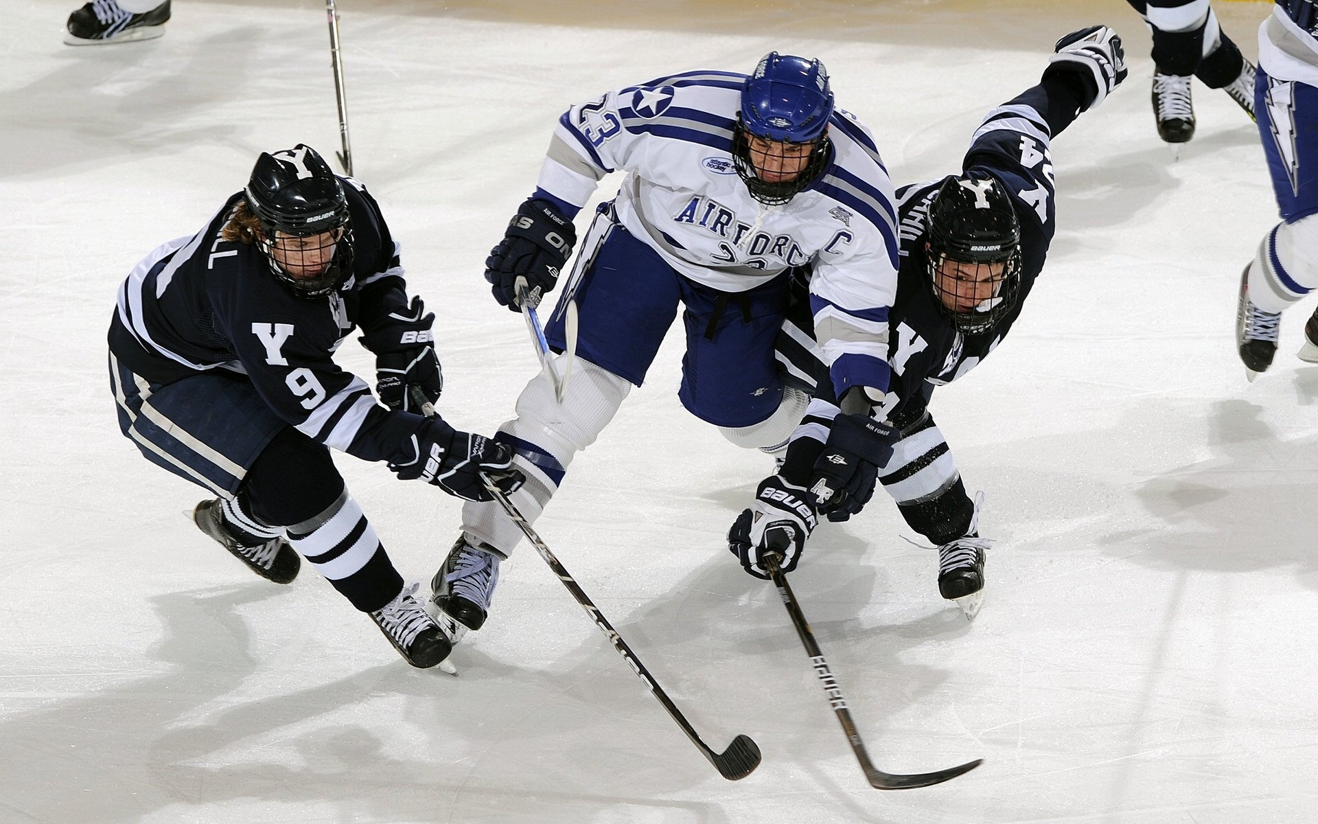 历史荣光：自由投、篮板、盖帽的传奇瞬间